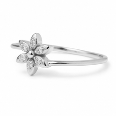 White_Gold